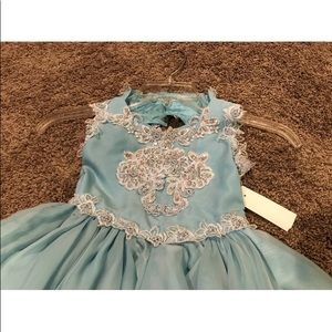 Robinson Dresses - 4 Pageant Flower Girl Special Occasion Dress NWT Robinson Dresses - 4 Pageant Flower Girl Special Occasion Dress NWT